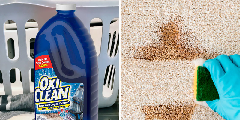 Review of OxiClean Carpet Cleaner Large Area