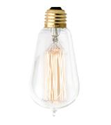 Hudson Lighting 60W Edison Bulbs