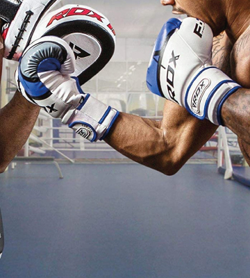 RDX Maya Hide Leather Kickboxing Muay Thai Sparring Gloves - Bestadvisor