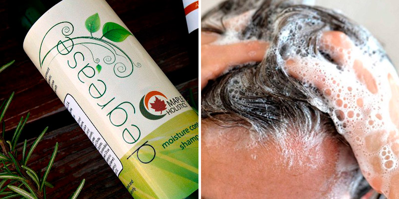 Review of Maple Holistics Shampoo for Oily Hair & Oily Scalp