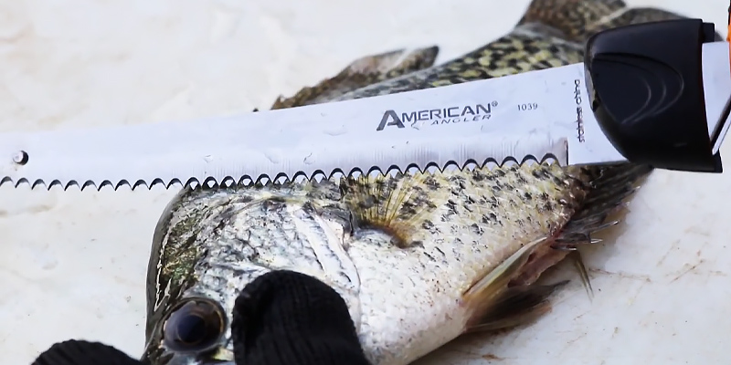 American Angler Pro 32350DS Electric Fillet Knife in the use