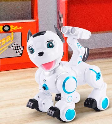 Review of fisca LN0011 Remote Control Robotic Dog