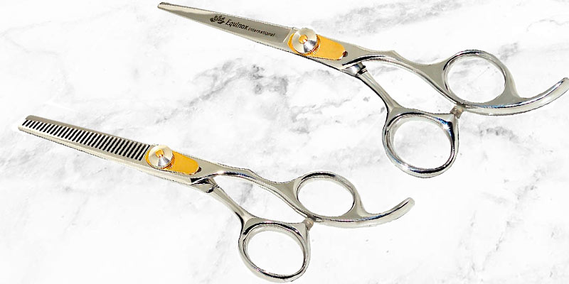 Review of Equinox International SET A Hair Cutting and Thinning Scissors