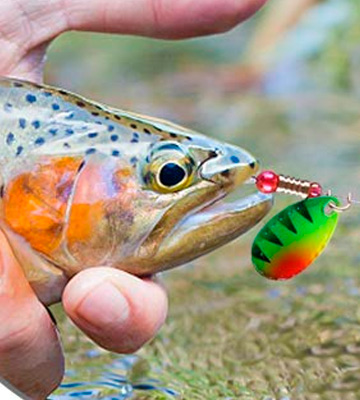 Review of TOPFORT Fishing Lures Fishing Spoon,Trout Lures, Bass Lures