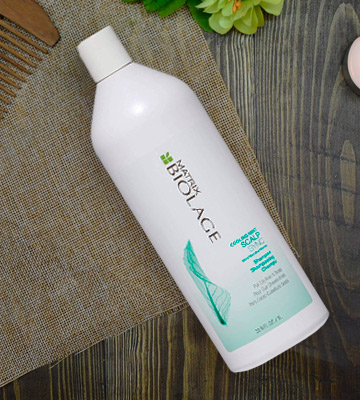 Review of BIOLAGE Scalpsync Cooling Mint Shampoo For Oily Scalp