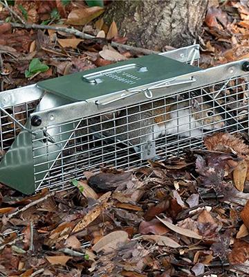 Review of Havahart Humane Live Animal Two-Door Mouse Trap