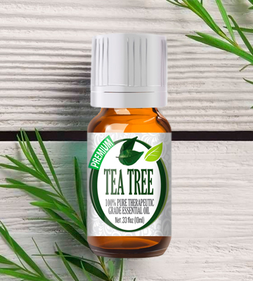 Review of Healing Solutions Tea Tree Essential Oil 100% Tea Tree Oil for Diffuser and Topical