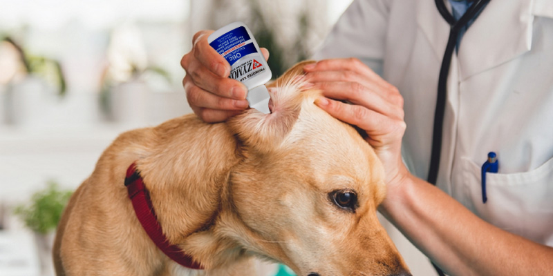 Review of Zymox Otic Pet Ear Treatment with Hydrocortisone
