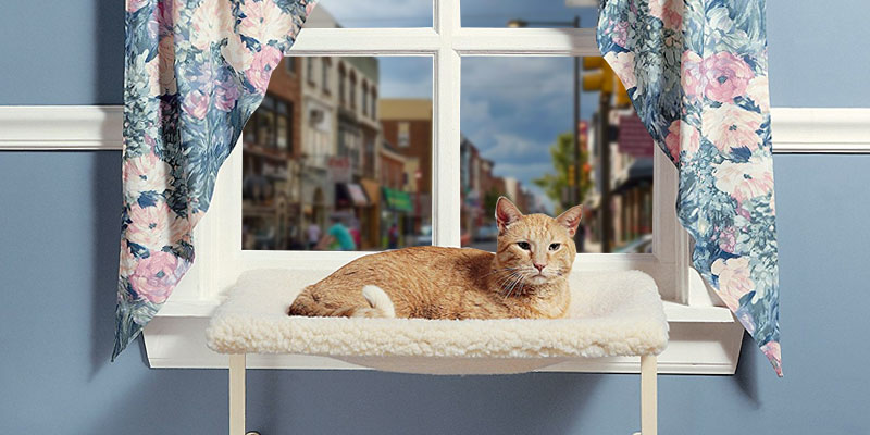 Review of Lazy Pet Deluxe Cat Window Perch