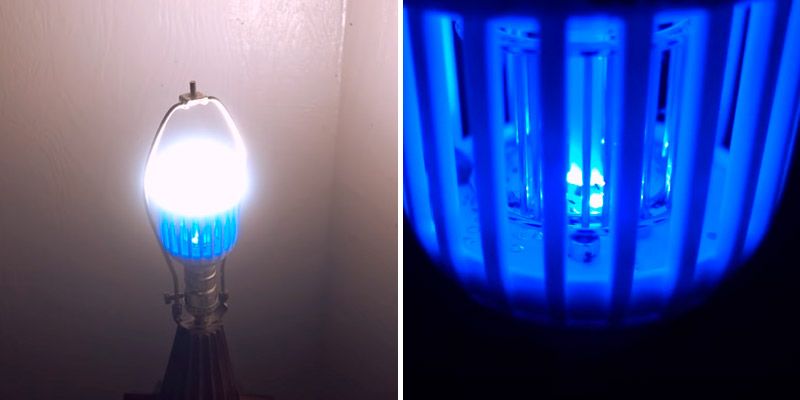 5 Best Bug Zapper Bulbs Reviews of 2019 BestAdvisor