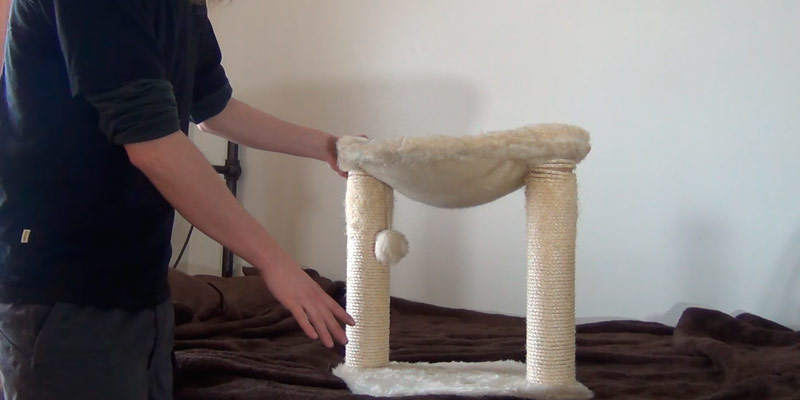 Review of TRIXIE Pet Products Baza Cat Tree