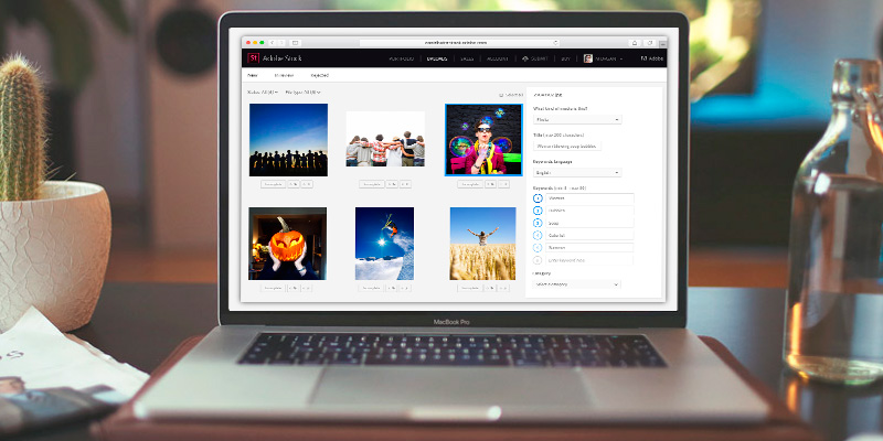 Detailed review of Adobe Stock Images Millions of Images