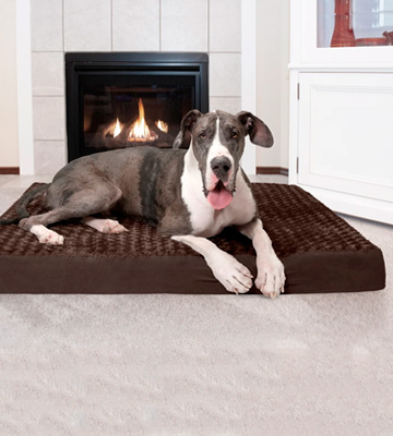 Review of Furhaven Traditional Orthopedic Rectangular Mattress Dog Bed