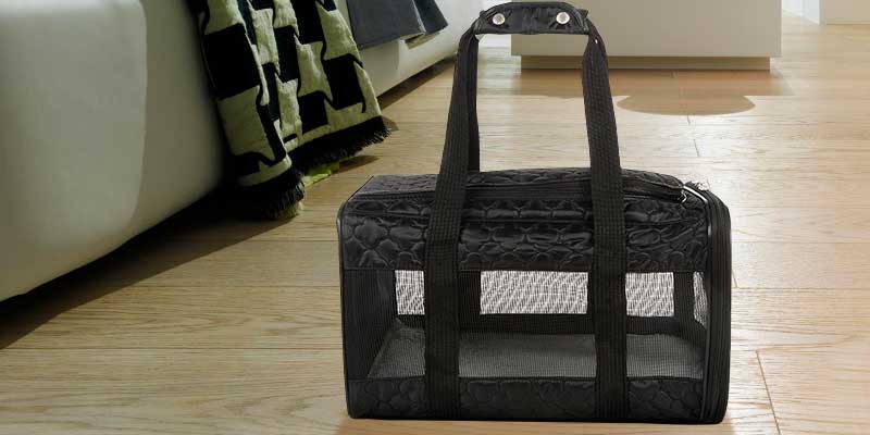 Review of Sherpa Travel Original Deluxe Pet Carrier