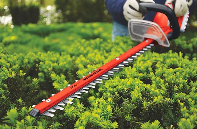 Comparison of Hedge Trimmers