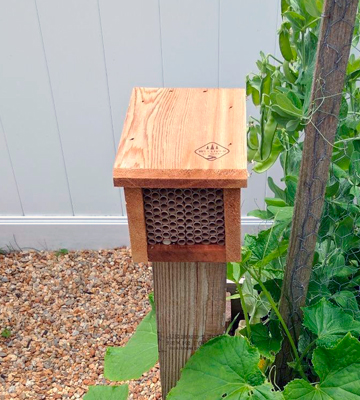 Review of Welliver Outdoors WPBEE Mason Bee House with Replaceable Tubes