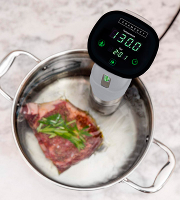 Review of Gramercy Kitchen 800 Watt, Digital Display Sous Vide Immersion Circulator Cooker