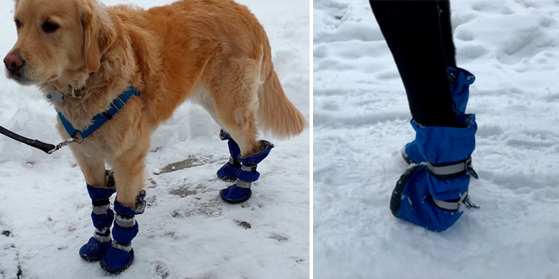 Review of HiPaw Winter Water Resistan Dog Boots