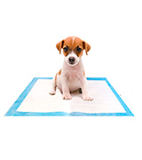 StayDry Pee Pads for Dogs Puppy Pads