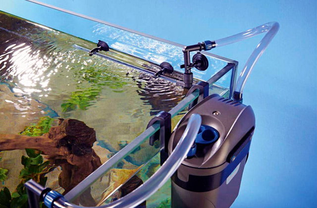 Best Aquarium & Fish Tank Filters  