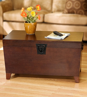 Review of Southern Enterprises, Inc. CK2224 Pyramid Storage Trunk Cocktail Table