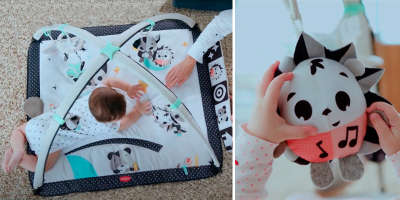 Review of Tiny Love TO0730700 Deluxe Black & White Gymini Infant Activity Play Mat