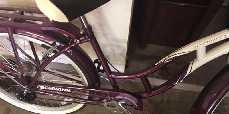 Detailed review of Schwinn Women's Sanctuary Cruiser Bicycle