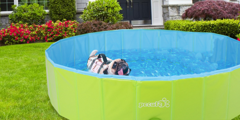 Review of Pecute Portable PVC Dog Swimming Pool