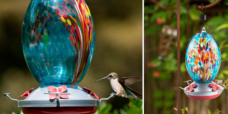 Review of Muse Garden __Hummingbird Feeder for Outdoors, Hand Blown Glass