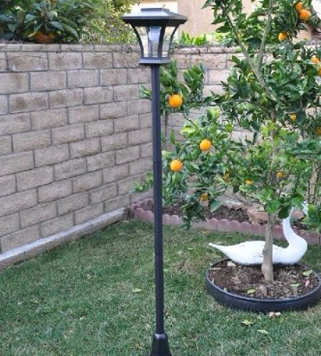 Review of TruePower Solar Charged LED Lamp Post