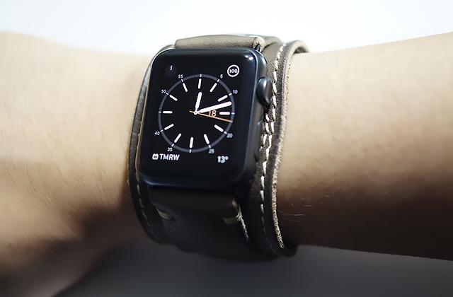 Best Apple Watch Bands  