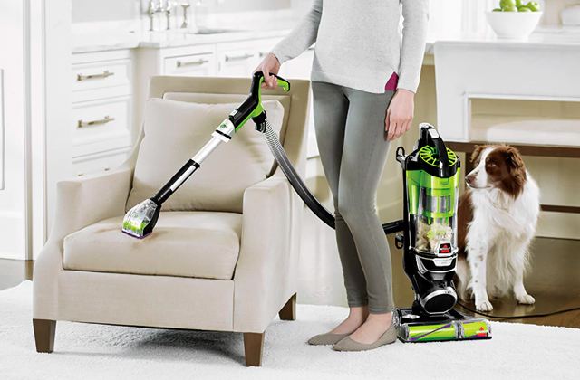 Comparison of Vacuums for Pet Hair