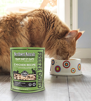 Review of Northwest Naturals Freeze Dried Raw Cat Food Nibbles