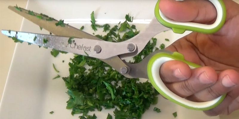 Review of Chefast Multipurpose Herb Scissors Set