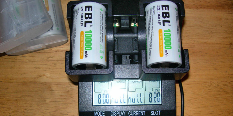 Review of EBL High Capacity Rechargeable D Batteries