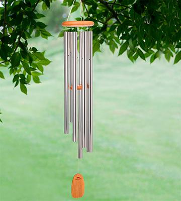 Review of Woodstock Chimes AGMS