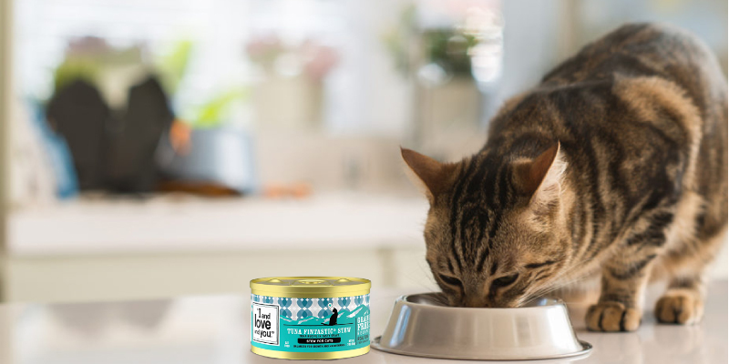 Review of I and love and you Naked Essentials Canned Wet Cat Food