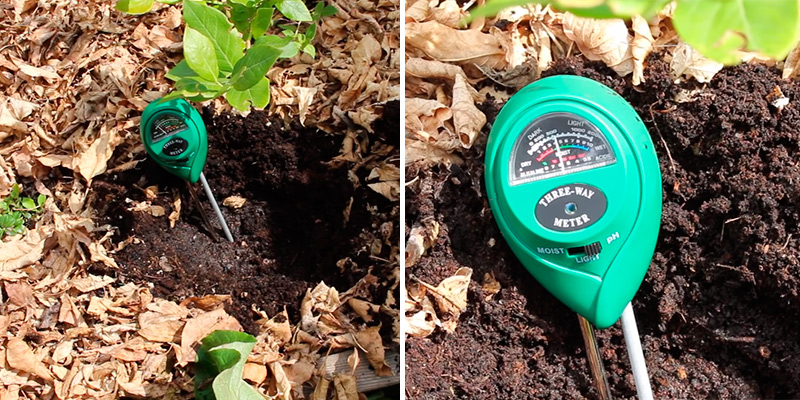 Review of Atree 3-in-1 Soil pH Meter