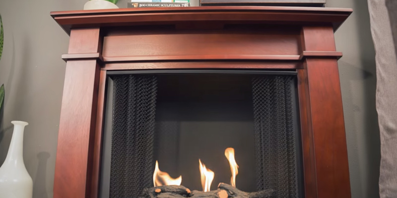 Real Flame Devin Indoor Gel Fireplace in Dark Espresso in the use