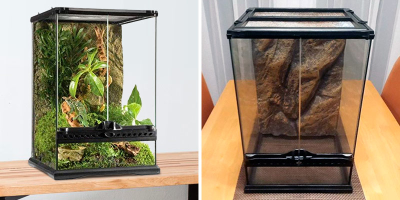 Review of Exo Terra Allglass Terrarium Glass terrarium for reptiles or amphibians