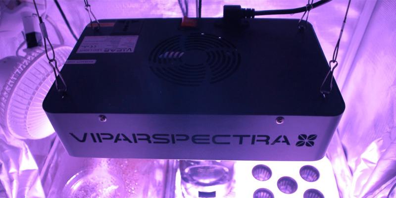 Review of VIPARSPECTRA Reflector V300 Grow Light Full Spectrum for Indoor Plants