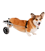 K9 Carts The Original Dog Wheelchair