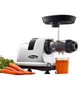 Omega J8006HDS Slow Speed Masticating Juicer