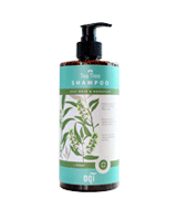 aqi Tea Tree Shampoo For Oily Hair & Irritated Flaky Scalp