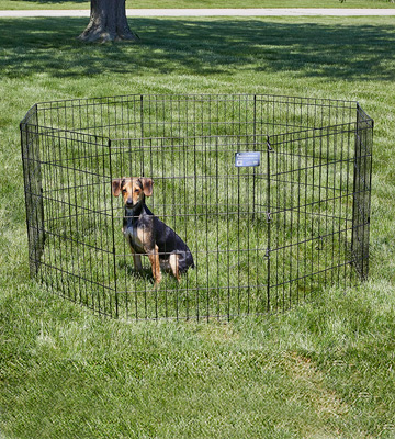 Review of MidWest Homes for Pets Folding Metal Exercise 24W x 30H Pen / Pet Playpen